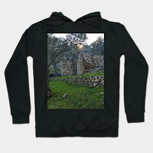 House on the Hill Hoodie